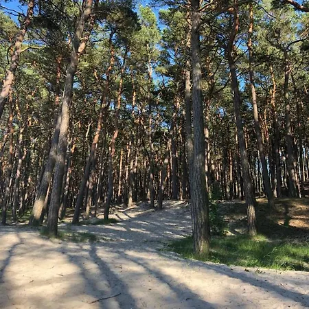 度假居 Merinn 洛格沃