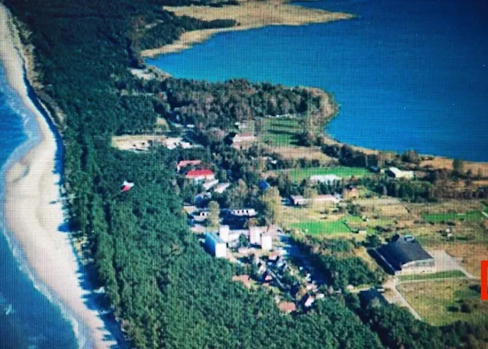 Merinn Rogowo (Gryfice)