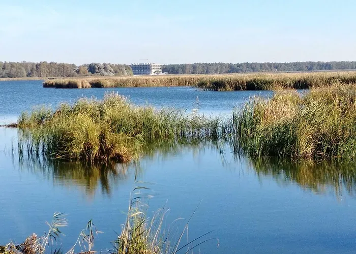 Dom wakacyjny Merinn