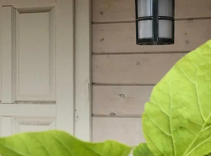 Dom wakacyjny Merinn