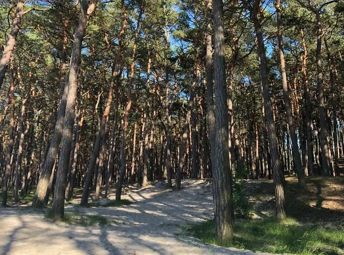 Dom wakacyjny Merinn Rogowo (Gryfice)