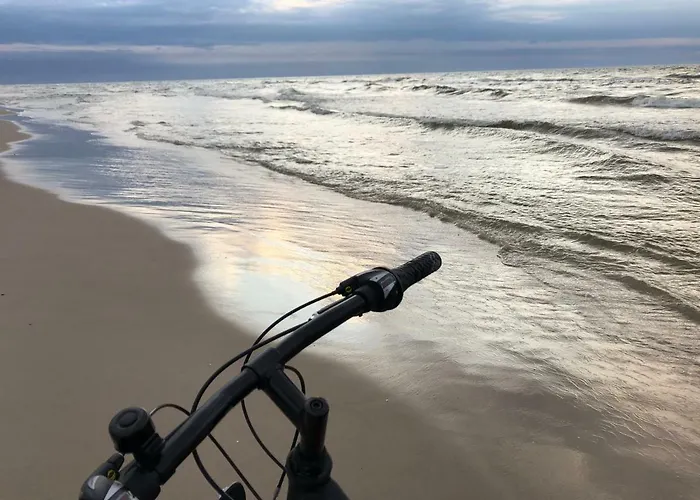 Merinn Rogowo (Gryfice)